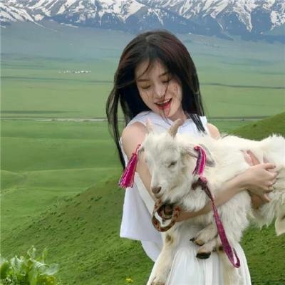 爱犬人士封面